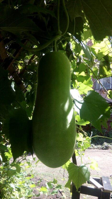 专业娱乐吃瓜,揭秘明星幕后那些事儿